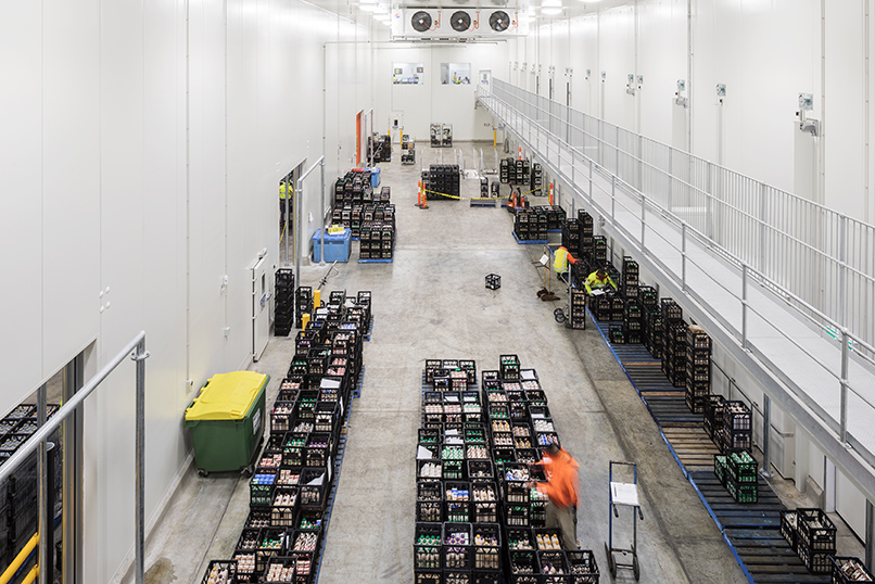 Lion Dairy, Perkins TPD, Bega Dairy & Drinks, Facility, Sevenoaks Street, Bentley, Perth, Western Australia, Controlled Environment, Upgrade, Refrigeration